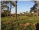 Lot 157 Connors Road, Stanwell QLD 4702