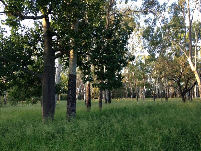 Lot 157 Connors Road, Stanwell QLD 4702