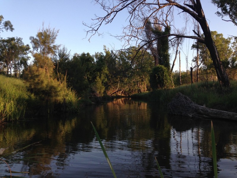 Lot 157 Connors Road, Stanwell QLD 4702