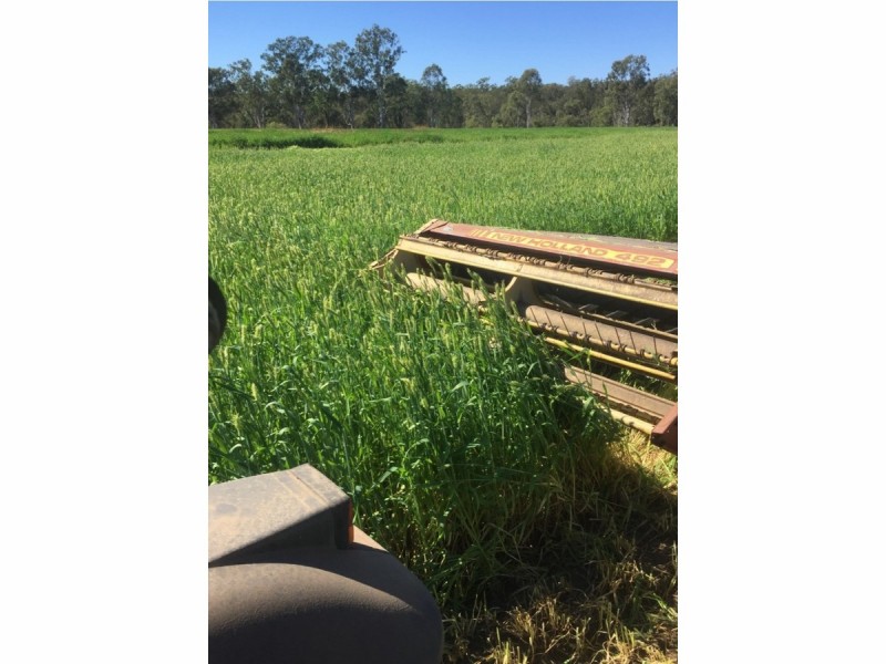 197 Brickworks Road, Bushley QLD 4702