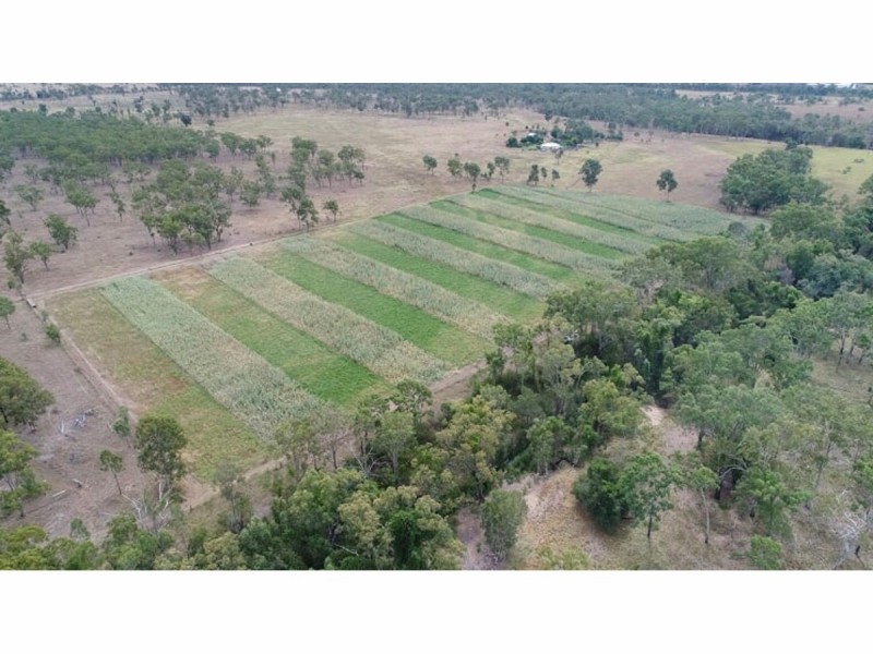 197 Brickworks Road, Bushley QLD 4702