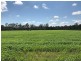 197 Brickworks Road, Bushley QLD 4702