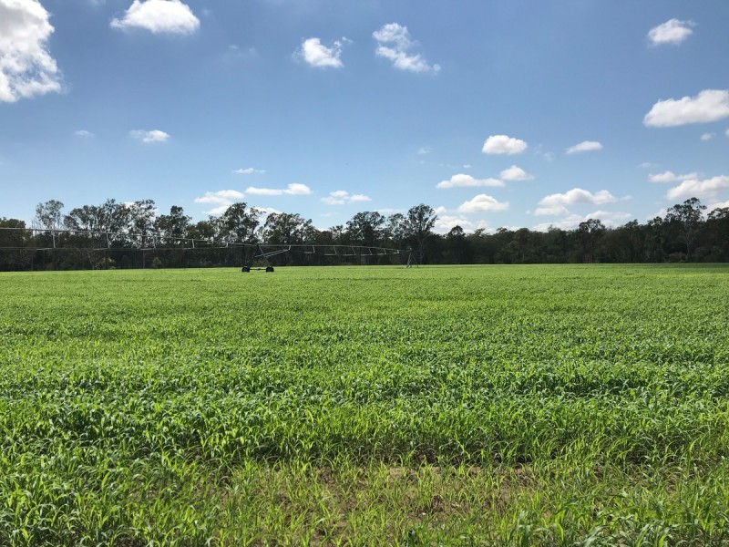 197 Brickworks Road, Bushley QLD 4702