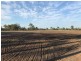 197 Brickworks Road, Bushley QLD 4702
