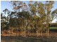 197 Brickworks Road, Bushley QLD 4702