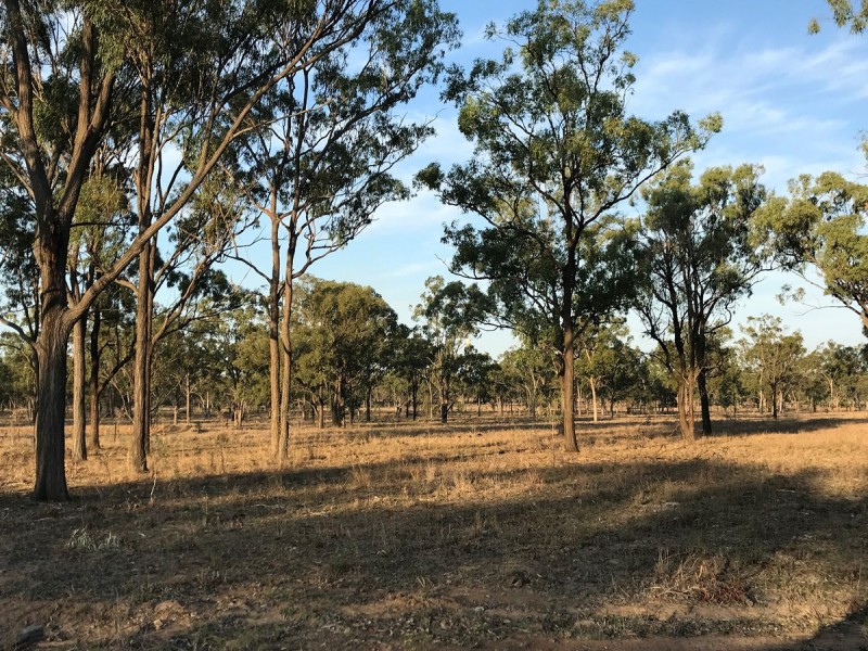 197 Brickworks Road, Bushley QLD 4702