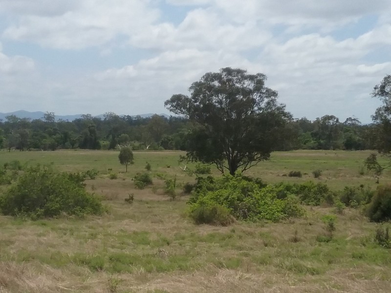 230 North Langmorn Road, Marmor QLD 4702
