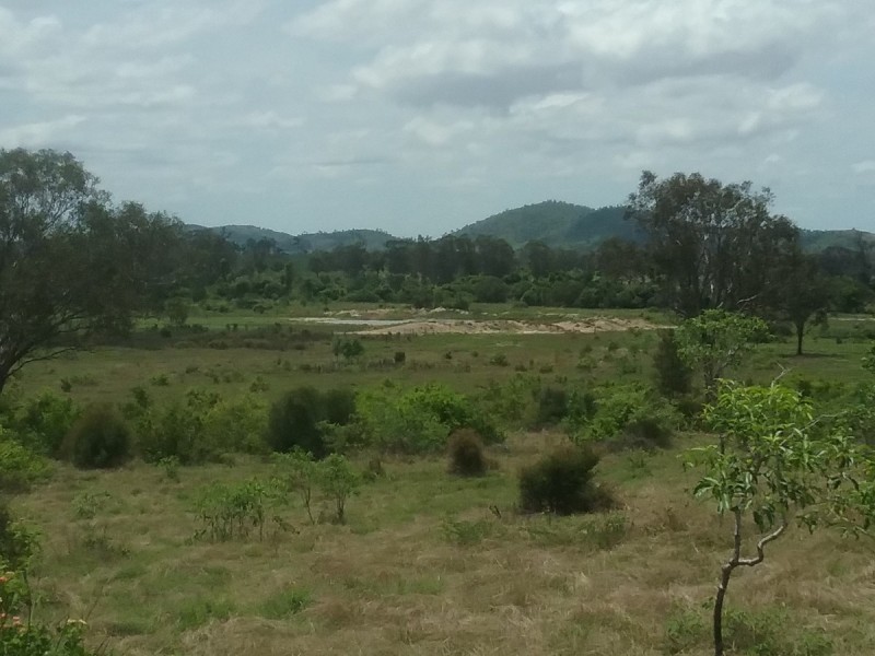 230 North Langmorn Road, Marmor QLD 4702