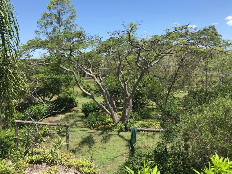 71 Sisalana Road, Bajool QLD 4699