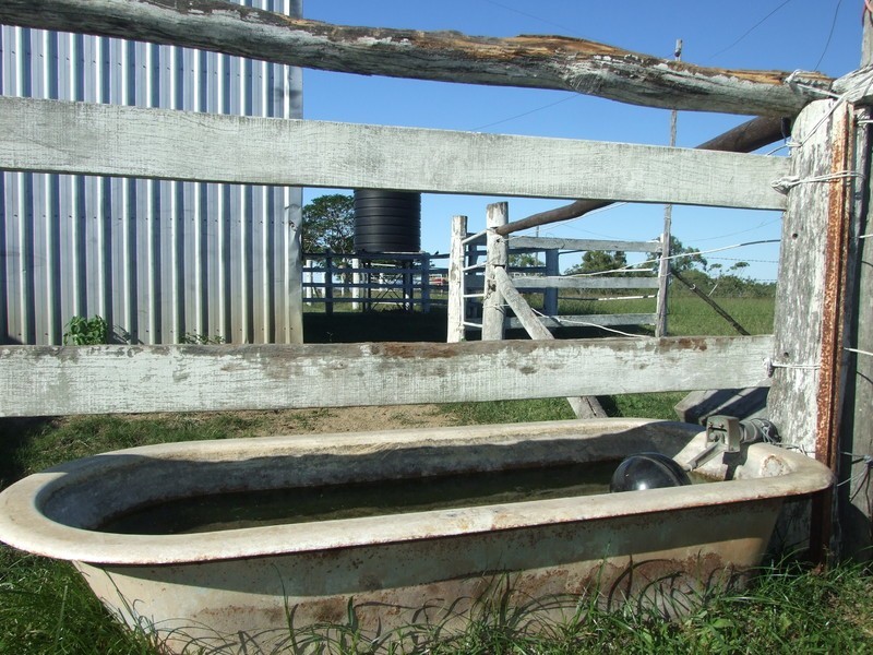 Alton Downs QLD 4702