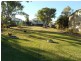166 Elphinstone Street, Berserker QLD 4701