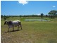 3100 Stanwell-Waroula Rd, Alton Downs QLD 4702