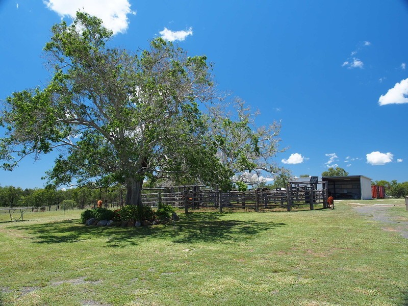 3100 Stanwell-Waroula Rd, Alton Downs QLD 4702