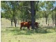 3100 Stanwell-Waroula Rd, Alton Downs QLD 4702