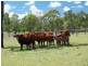 3100 Stanwell-Waroula Rd, Alton Downs QLD 4702