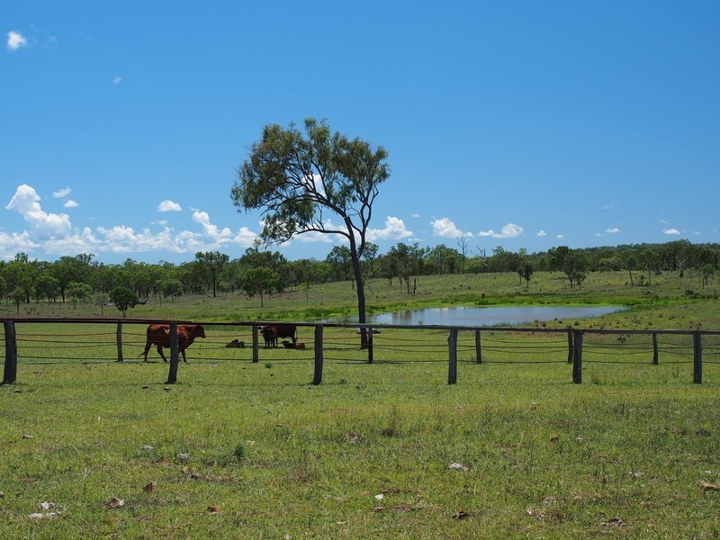 3100 Stanwell-Waroula Rd, Alton Downs QLD 4702