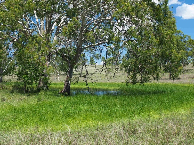 3100 Stanwell-Waroula Rd, Alton Downs QLD 4702