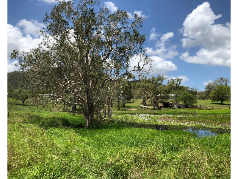 Lot 55, Reynolds Street, Lakes Creek QLD 4701