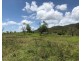 Lot 55, Reynolds Street, Lakes Creek QLD 4701