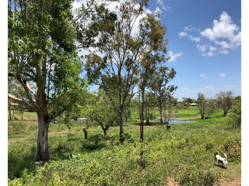 Lot 55, Reynolds Street, Lakes Creek QLD 4701