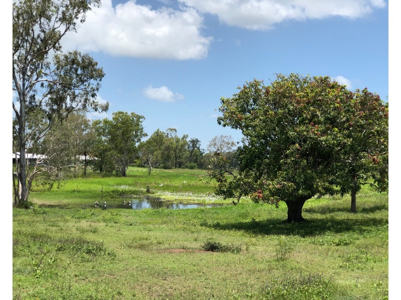 Lot 55, Reynolds Street, Lakes Creek QLD 4701