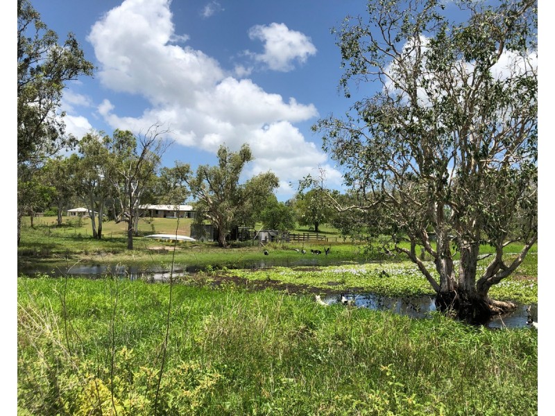 Lot 55, Reynolds Street, Lakes Creek QLD 4701