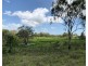 Lot 55, Reynolds Street, Lakes Creek QLD 4701