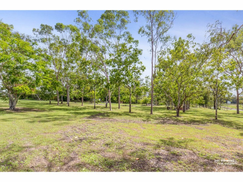 2 Nielsen Avenue, Glenlee QLD 4711