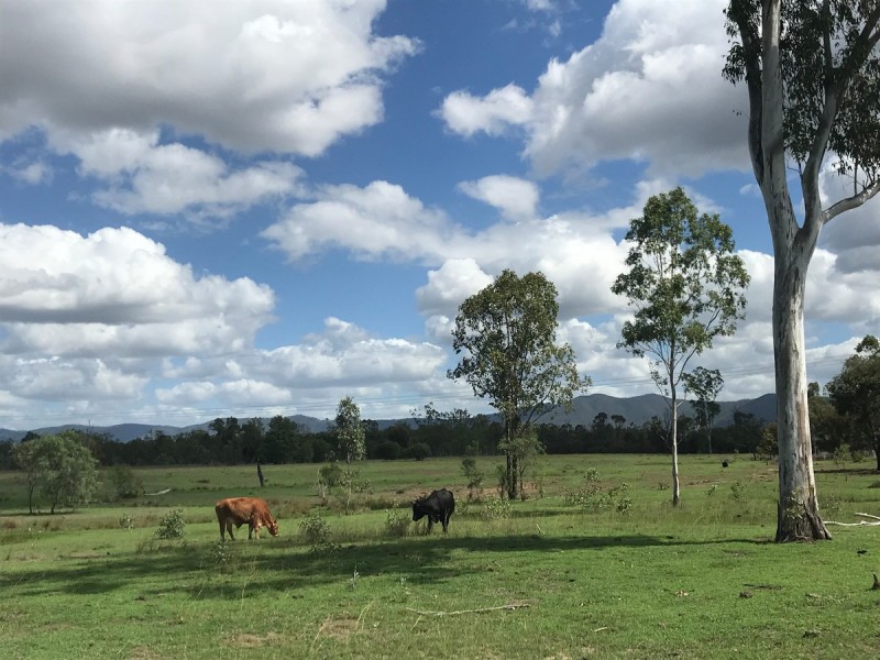 285 Six Mile Road, Bajool QLD 4699