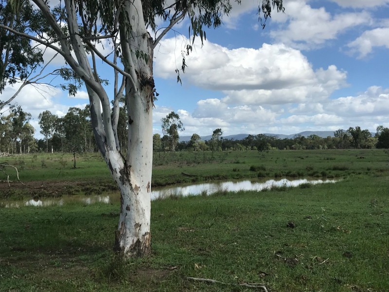 285 Six Mile Road, Bajool QLD 4699