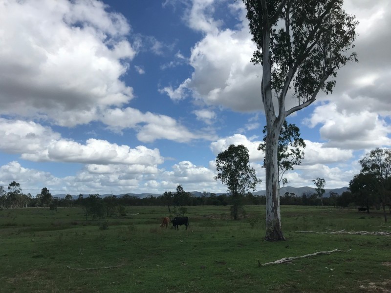 285 Six Mile Road, Bajool QLD 4699
