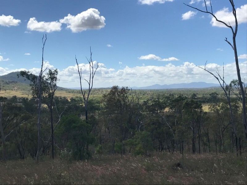 830 Stanwell Waroulah Road, Stanwell QLD 4702