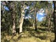 287 Brickworks Road, Kalapa QLD 4702