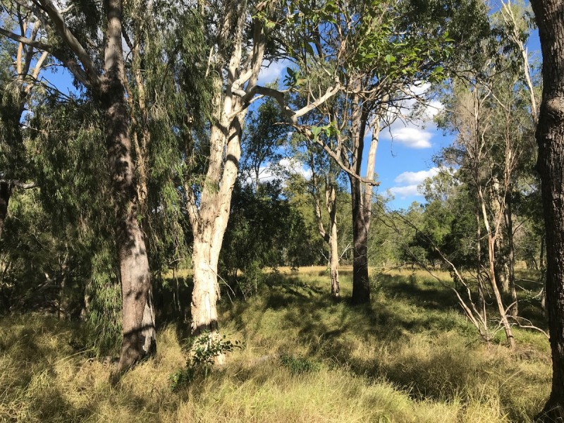 287 Brickworks Road, Kalapa QLD 4702