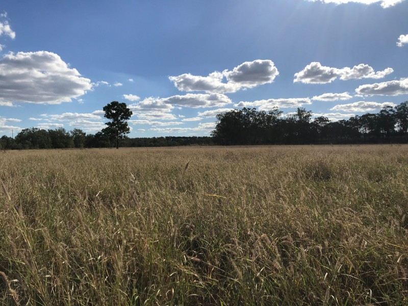 287 Brickworks Road, Kalapa QLD 4702