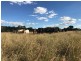 287 Brickworks Road, Kalapa QLD 4702