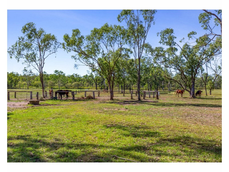 102 Nielsen Avenue Glenlee, Glenlee QLD 4711