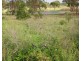 557 Bishop Road, Garnant QLD 4702
