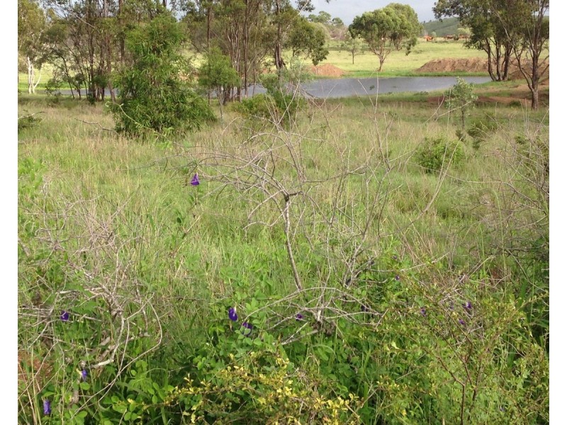 557 Bishop Road, Garnant QLD 4702