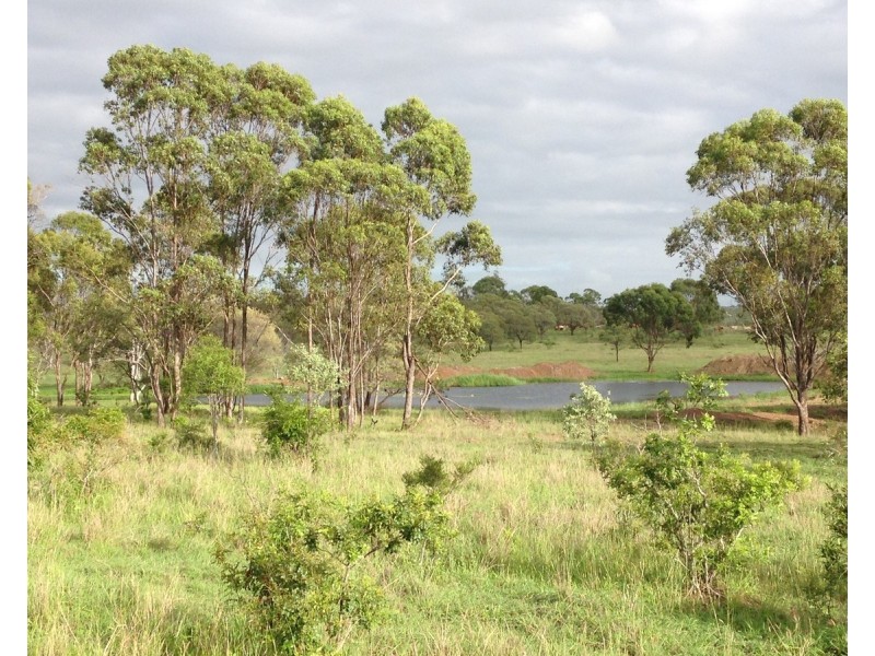 557 Bishop Road, Garnant QLD 4702