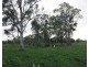 557 Bishop Road, Garnant QLD 4702