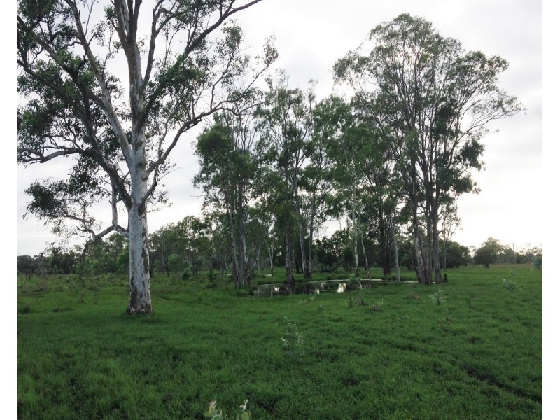 557 Bishop Road, Garnant QLD 4702