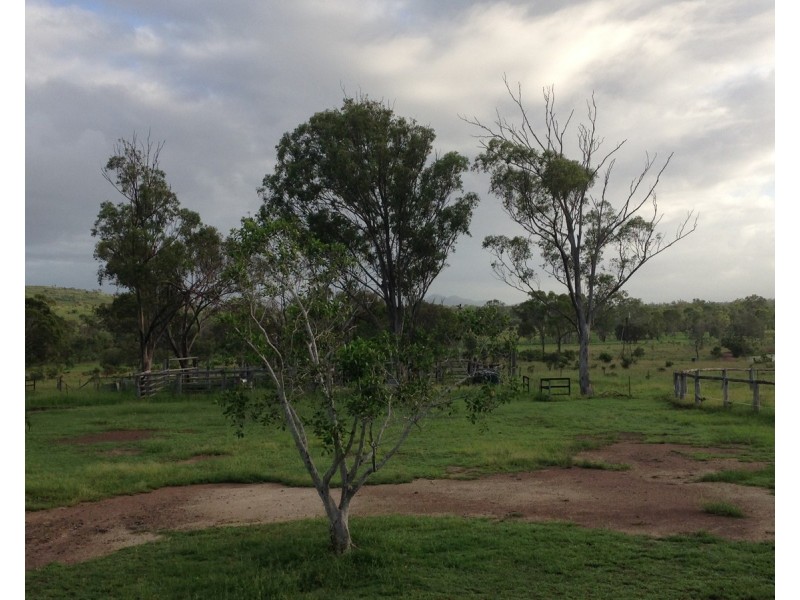 557 Bishop Road, Garnant QLD 4702