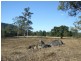 1540 Upper Ulam Road, Bajool QLD 4699