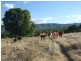 1540 Upper Ulam Road, Bajool QLD 4699
