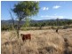 1540 Upper Ulam Road, Bajool QLD 4699