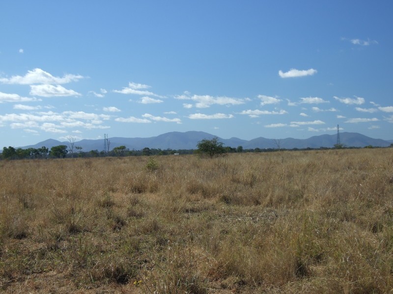 Alton Downs-Nine Mile Road, Alton Downs QLD 4702