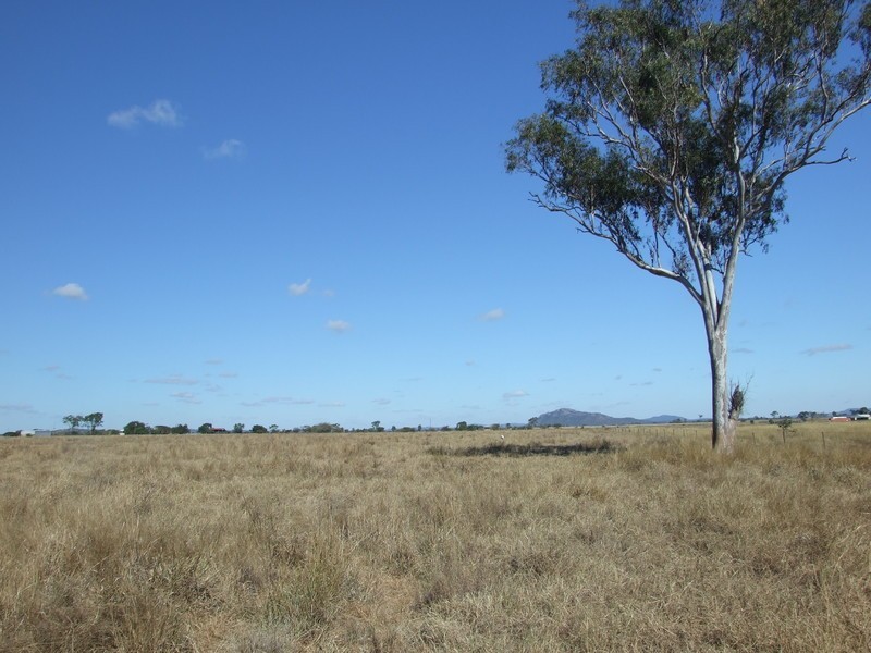 Alton Downs-Nine Mile Road, Alton Downs QLD 4702