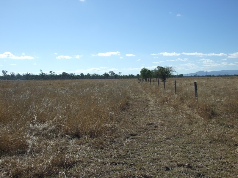 Alton Downs-Nine Mile Road, Alton Downs QLD 4702