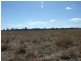Alton Downs-Nine Mile Road, Alton Downs QLD 4702